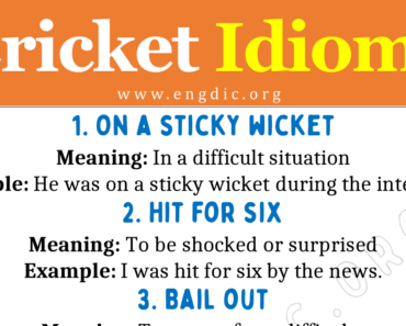 Idioms about Cricket (With Meaning and Examples)