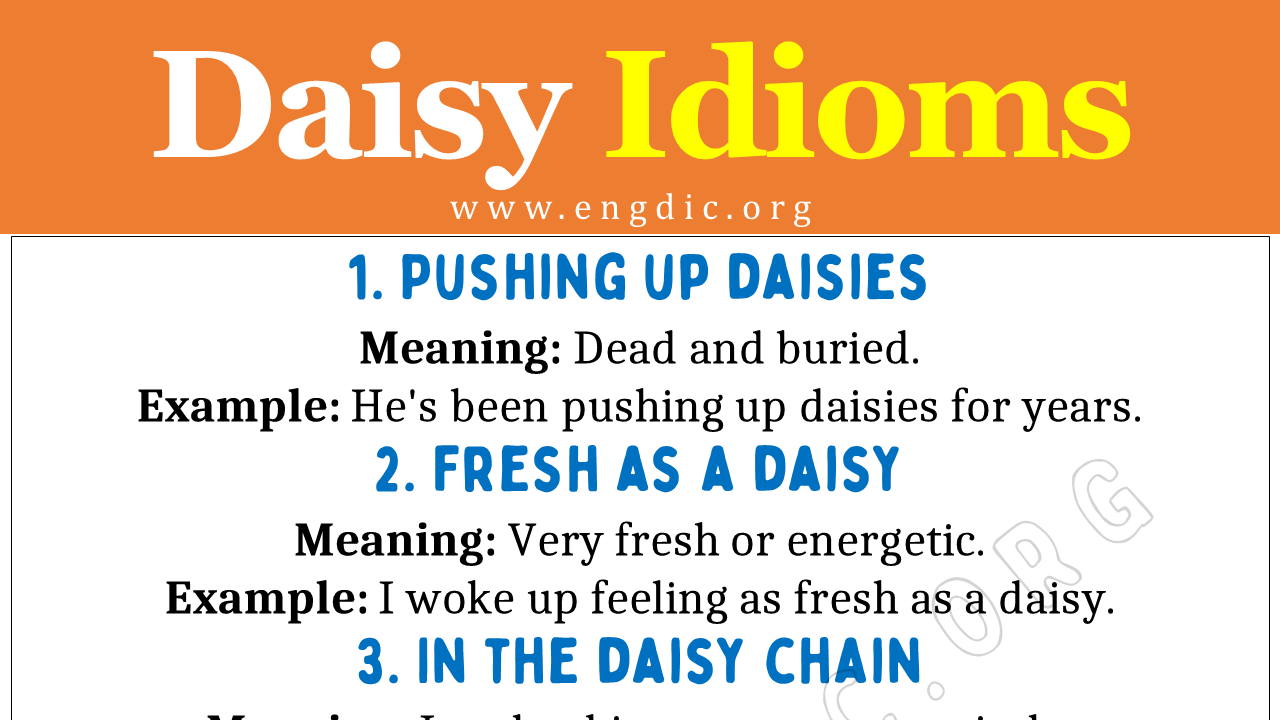 Daisy Idioms (With Meaning and Examples) - EngDic