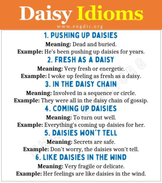 Daisy Idioms (With Meaning and Examples) - EngDic