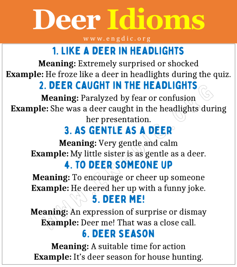 Deer Idioms (With Meaning and Examples) EngDic