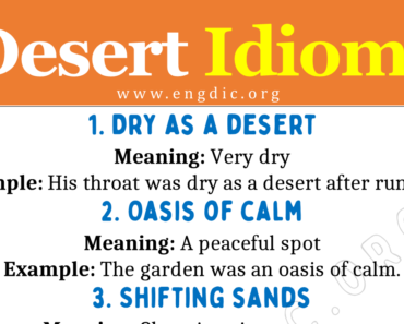 Desert Idioms (With Meaning and Examples)
