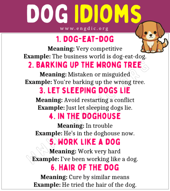 Dog Idioms (With Meaning and Examples) - EngDic