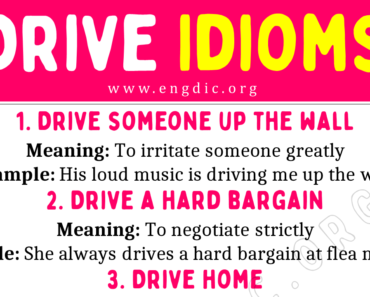 Drive Idioms (With Meaning and Examples)