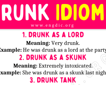 Drunk Idioms (With Meaning and Examples)