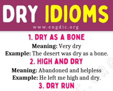 Dry Idioms (With Meaning and Examples)