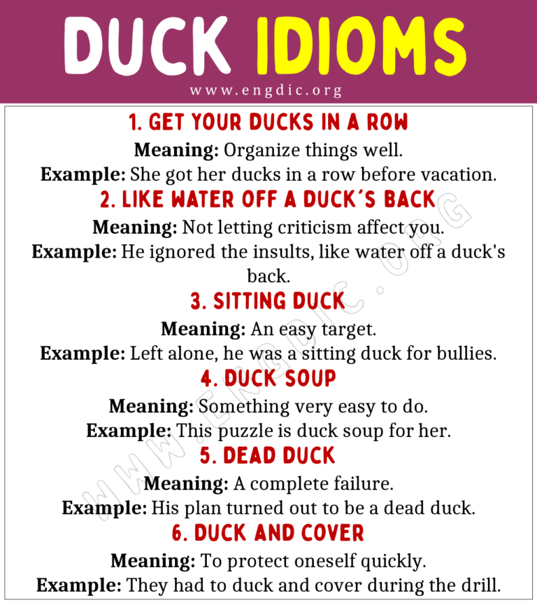 Duck Idioms (With Meaning and Examples) - EngDic