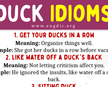 Duck Idioms (With Meaning and Examples)