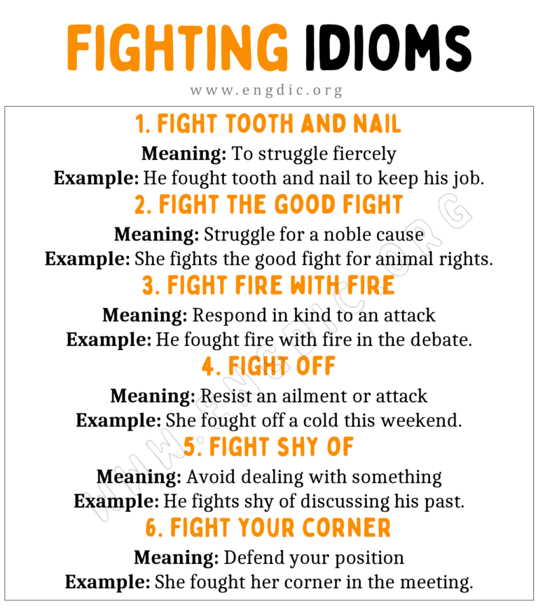 fighting-idioms-with-meaning-and-examples-engdic