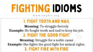 Fighting Idioms Copy
