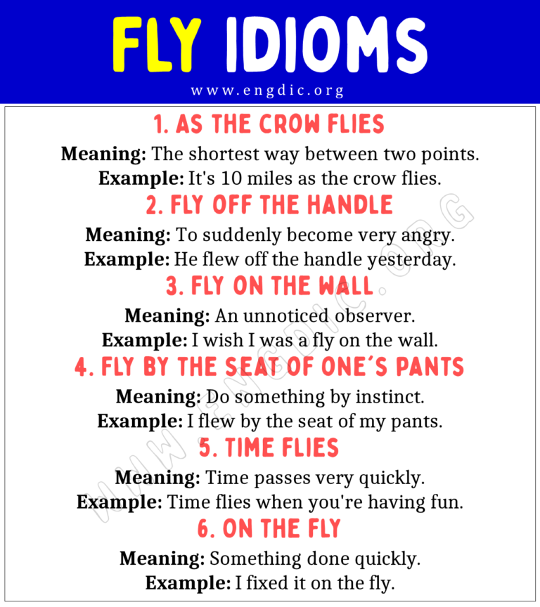 Fly Idioms (With Meaning and Examples) - EngDic