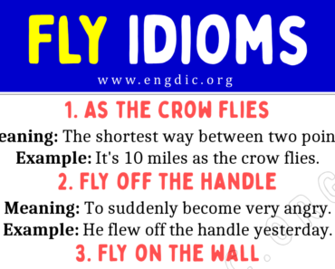 Fly Idioms (With Meaning and Examples)