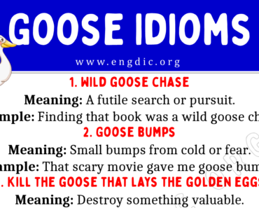 Goose Idioms (With Meaning and Examples)