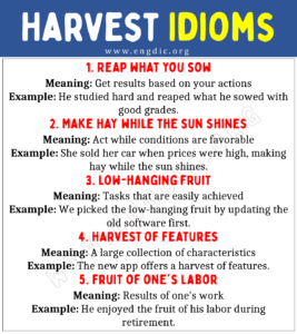 Harvest Idioms (With Meaning and Examples) - EngDic