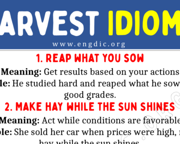 Harvest Idioms (With Meaning and Examples)