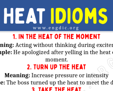 Heat Idioms (With Meaning and Examples)