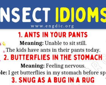 Insect Idioms (With Meaning and Examples)