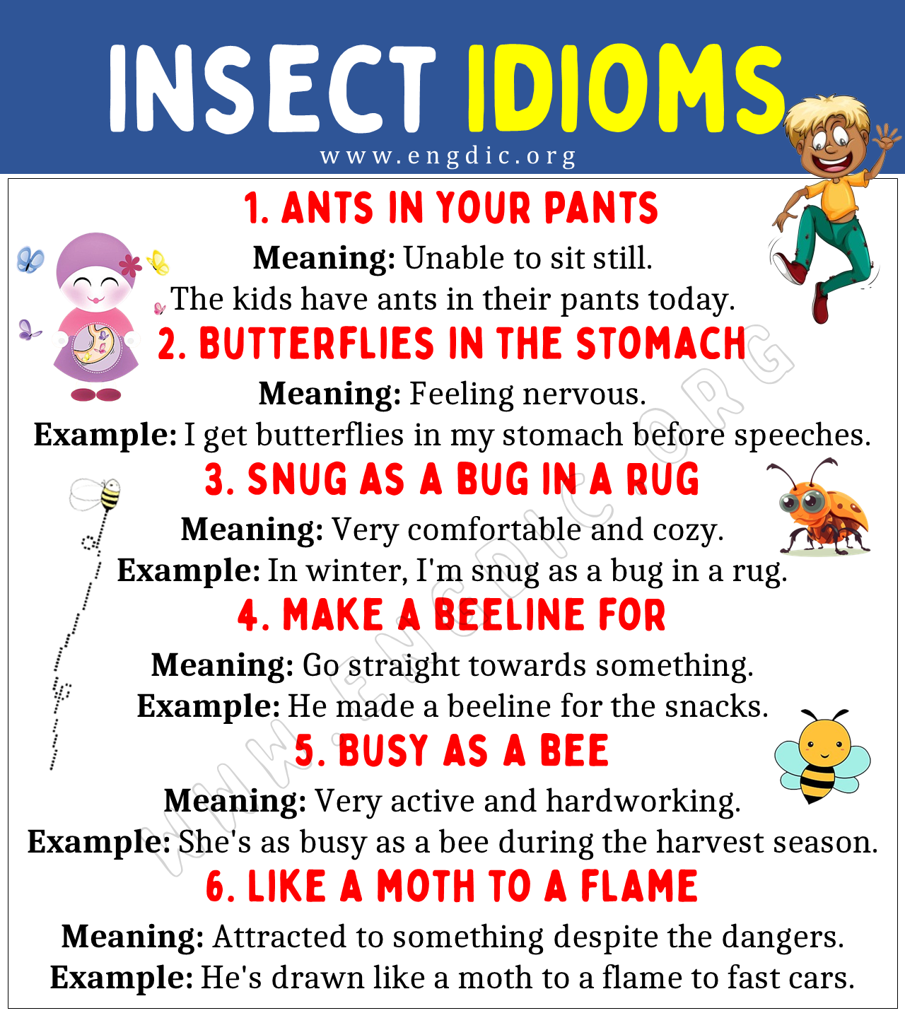 Insect Idioms