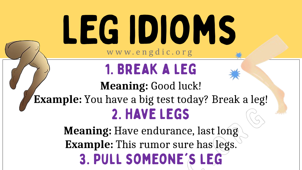 Legs Idioms (With Meaning and Examples) - EngDic