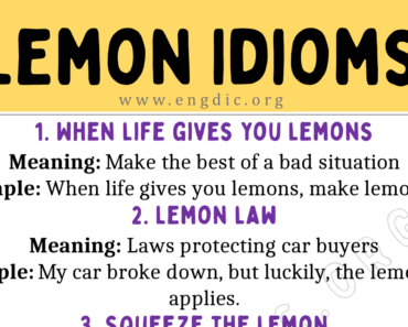 Lemon Idioms (With Meaning and Examples)