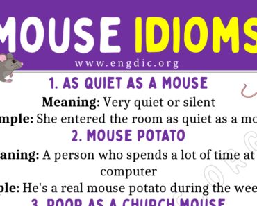 Mouse Idioms (With Meaning and Examples)