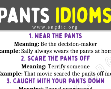 Pants Idioms (With Meaning and Examples)