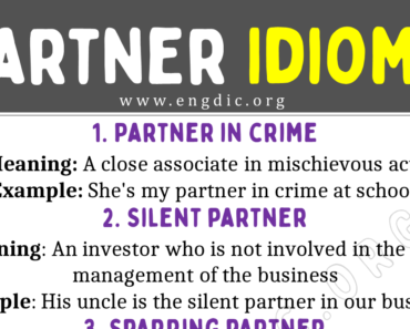Partner Idioms (With Meaning and Examples)