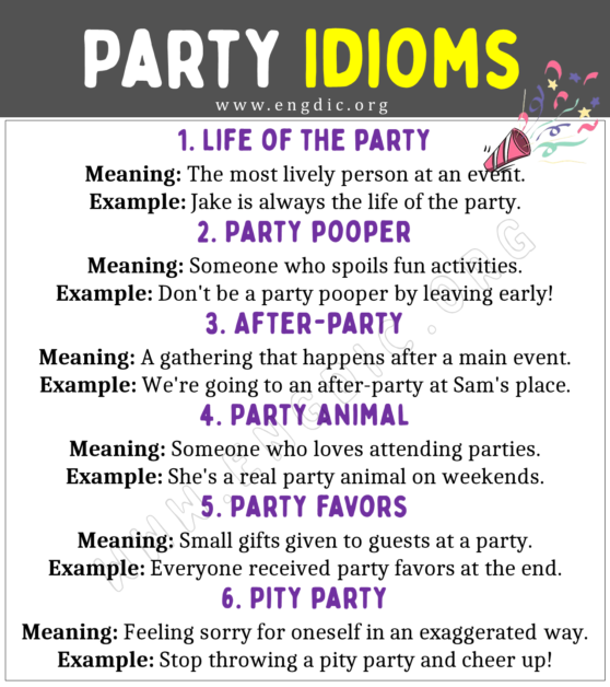 party-idioms-with-meaning-and-examples-engdic