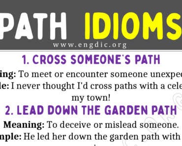 Path Idioms (With Meaning and Examples)