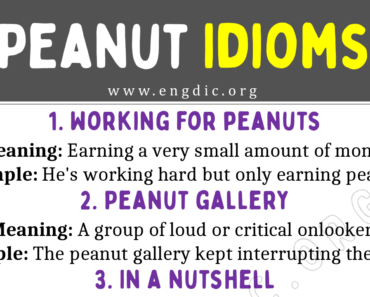 Peanut Idioms (With Meaning and Examples)