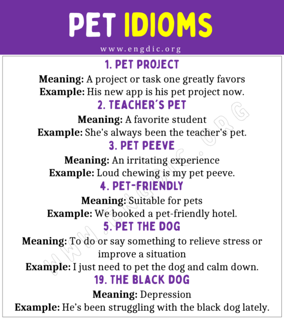 Pet Idioms (With Meaning and Examples) - EngDic