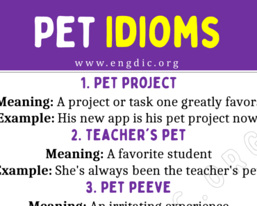 Pet Idioms (With Meaning and Examples)