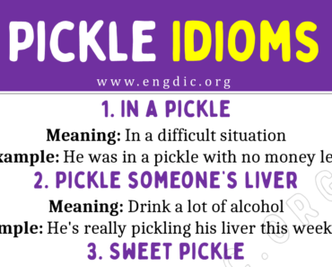 Pickle Idioms (With Meaning and Examples)