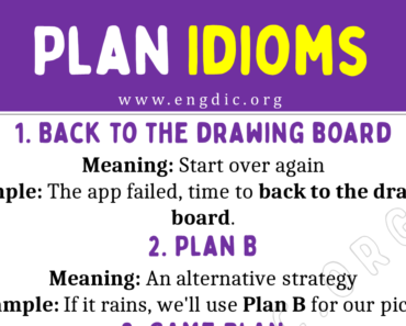 Plan Related Idioms (With Meaning and Examples)