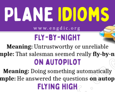 Plane Idioms (With Meaning and Examples)