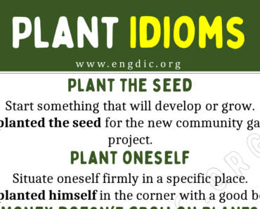 Plant Idioms (With Meaning and Examples)