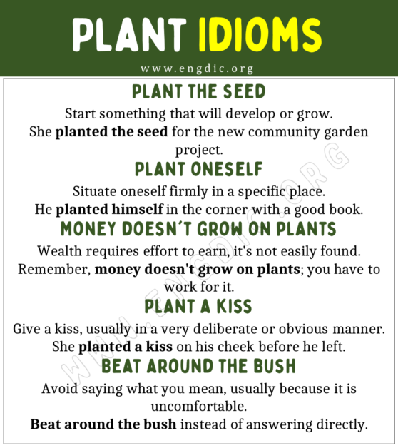 Plant Idioms (With Meaning and Examples) EngDic