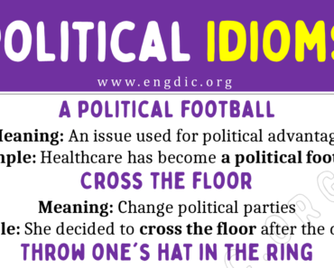 Political Idioms (With Meaning and Examples)