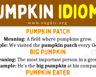 Pumpkin Idioms (With Meaning and Examples)