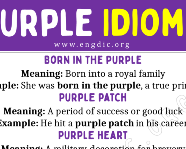 Purple Idioms (With Meaning and Examples)
