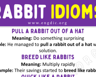 Rabbit Idioms (With Meaning and Examples)