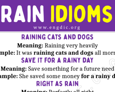 Rain Idioms (With Meaning and Examples)