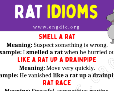 Rat Idioms (With Meaning and Examples)