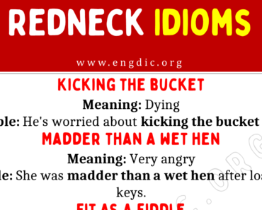 Redneck Idioms (With Meaning and Examples)
