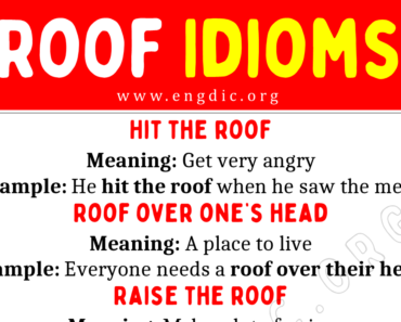 Roof Idioms (With Meaning and Examples)