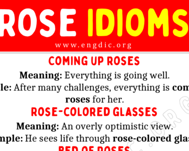 Rose Idioms (With Meaning and Examples)