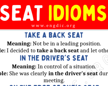 Seat Idioms (With Meaning and Examples)