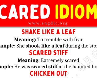 Scared Idioms: Idioms About Being Scared