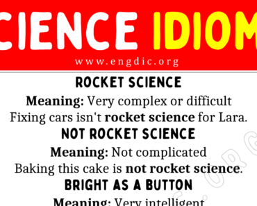 Science Idioms (With Meaning and Examples)