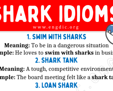 Shark Idioms (With Meaning and Examples)