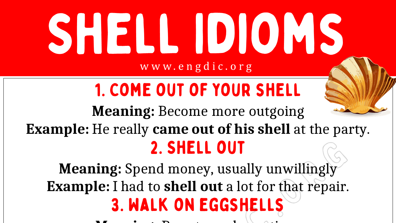 Shell Idioms (With Meaning and Examples) - EngDic